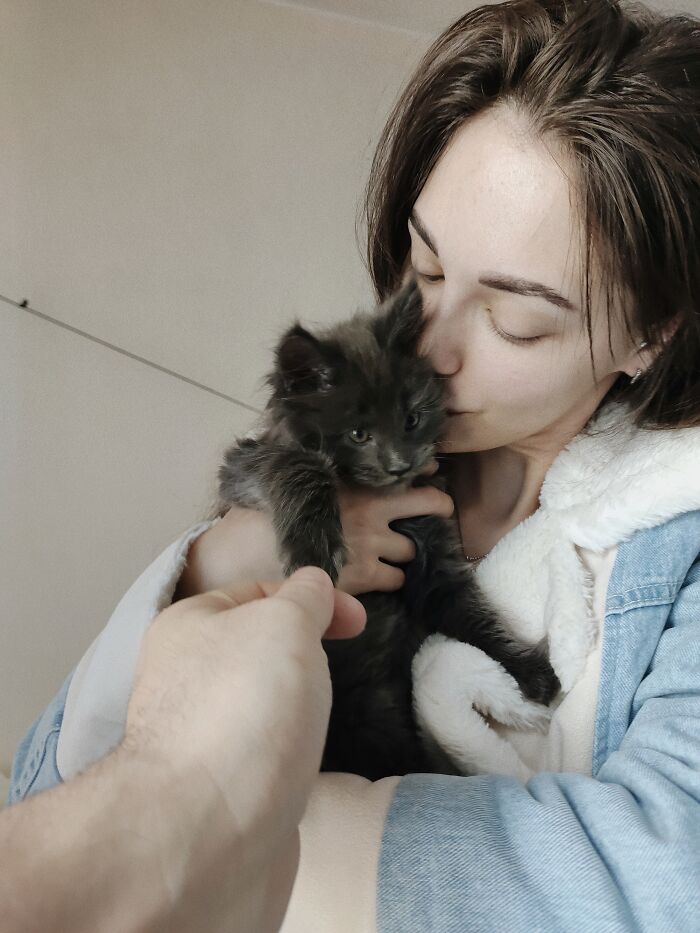 Meet Vincent, A Fluffy Maine Coon Cat That Looks Like A Black Panther And Acts Like A Dog