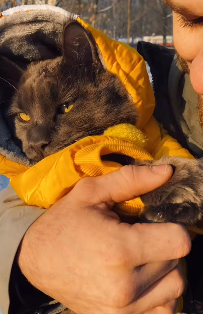 Meet Vincent, A Fluffy Maine Coon Cat That Looks Like A Black Panther And Acts Like A Dog