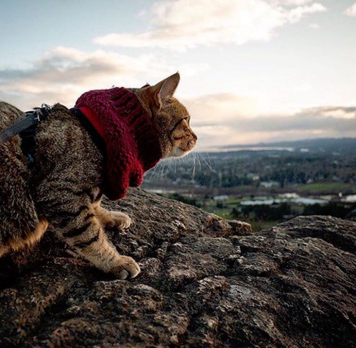 2. Watching the beautiful skies with a gallant turtleneck