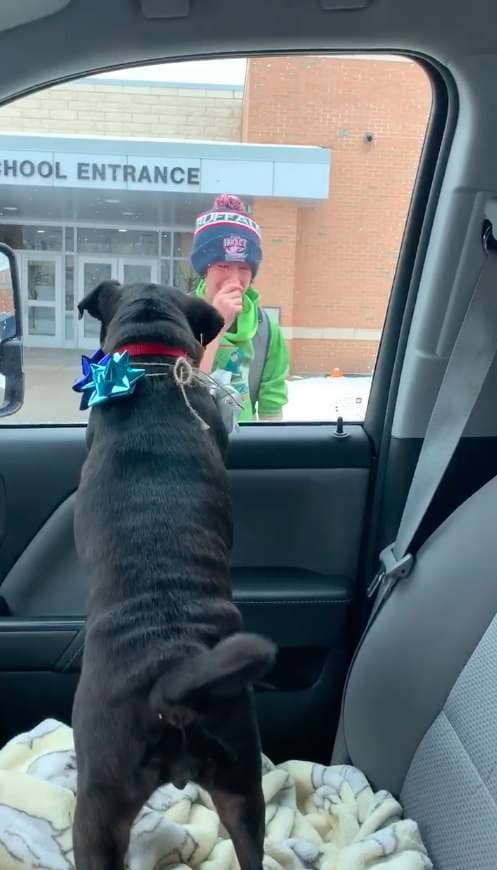 boy reuniting with his lost dog