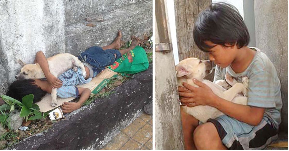 A Heartfelt Tale Abandoned by Parents, the Boy Found Love in the Dog’s Embrace