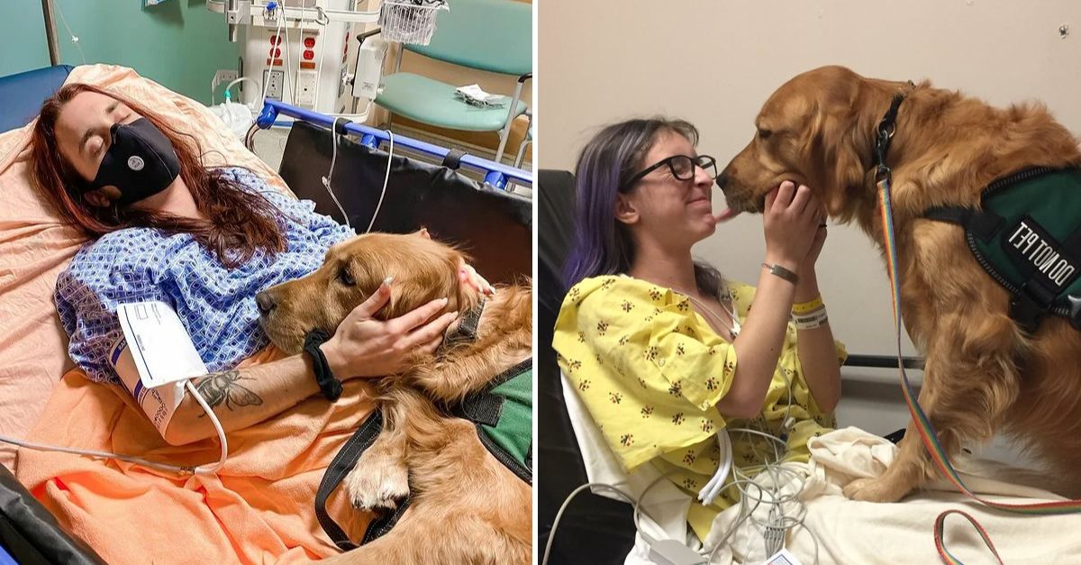 A dog’s unwavering loyalty helped a family unite and overcome illness while caring for it