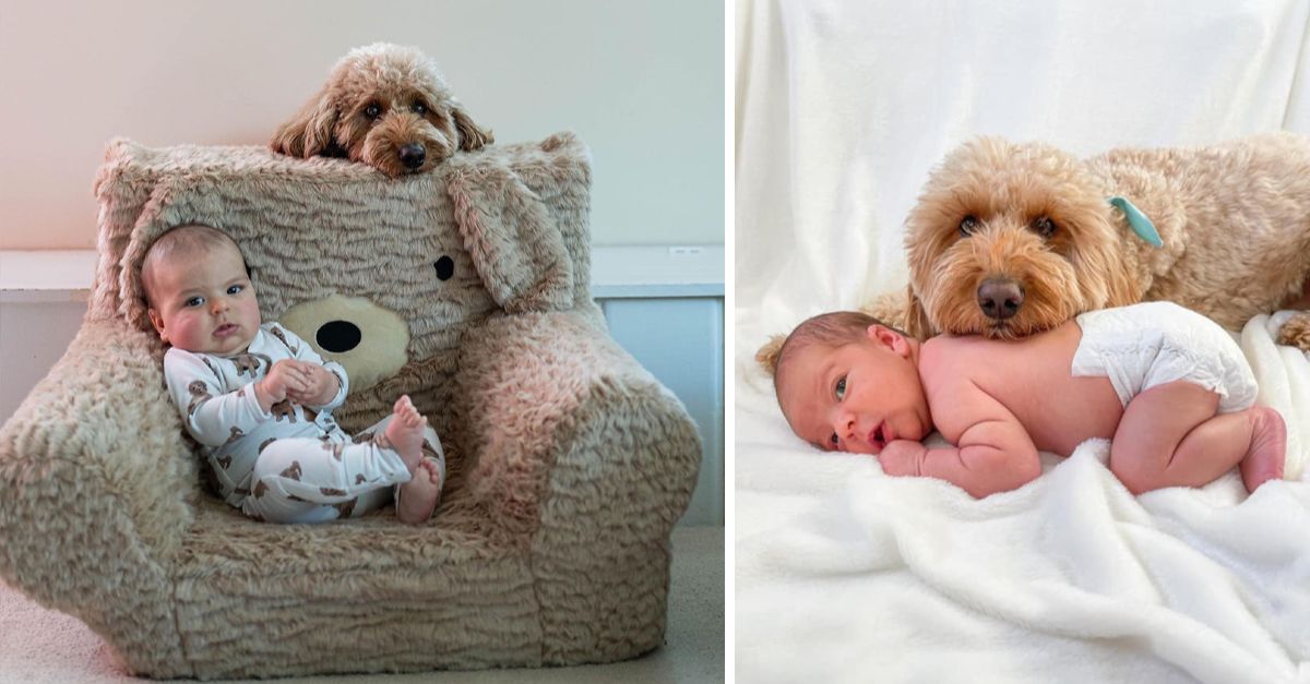 A family dog joins a newborn baby's first photoshoot, making for adorable pictures