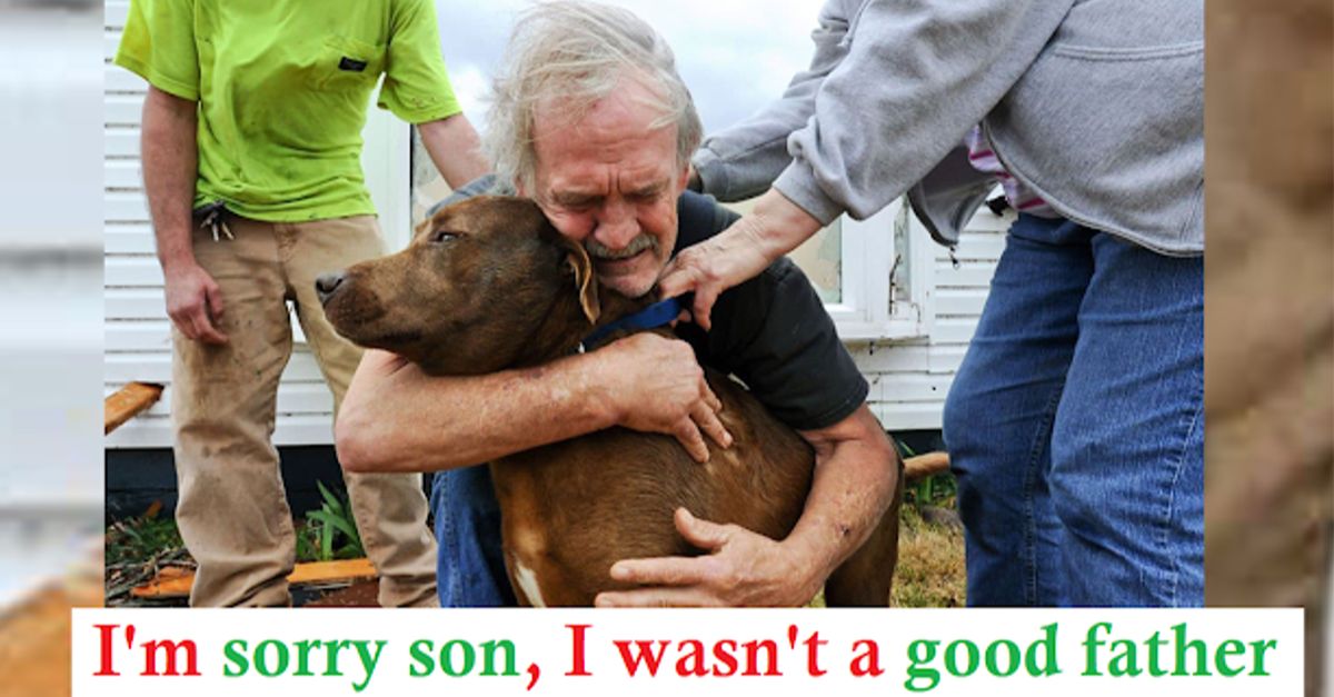 A grandfather, tearful and broke, brought his dog for help with no money for treatment