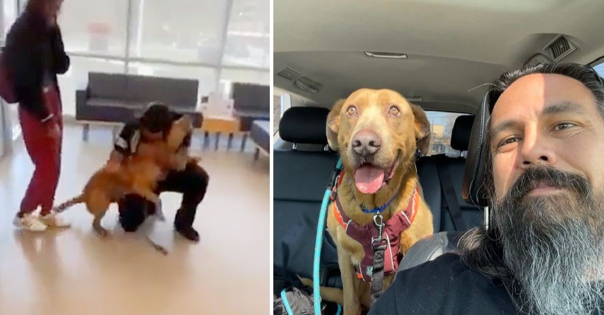 After 4 years, man reunites with lost dog he vowed to never stop searching for