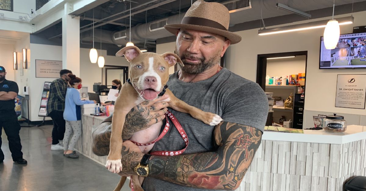 Dave Bautista rescues severely abused pit bull puppy discovered scavenging in cemetery trash