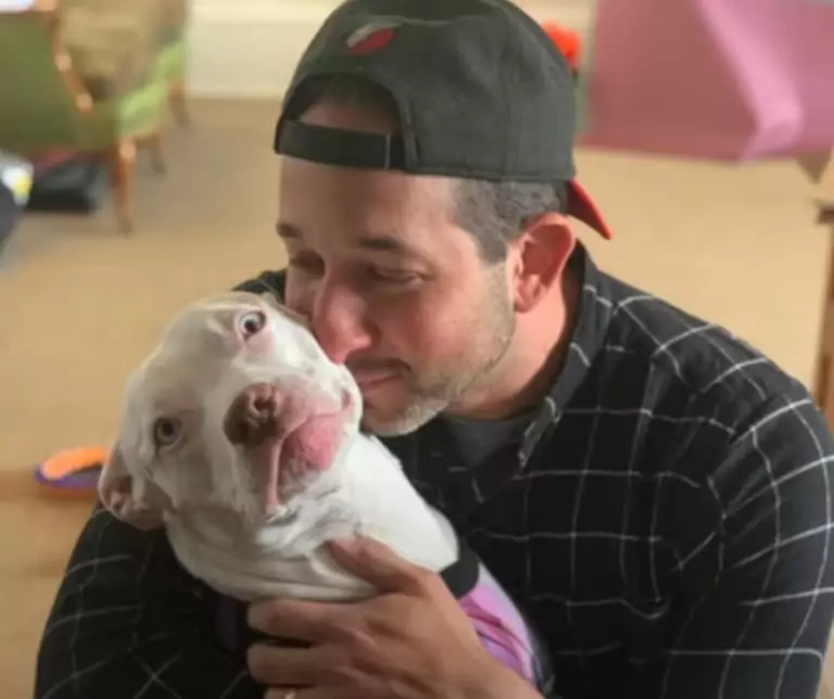 Blu: A Deaf Pit Bull's Journey to Happiness