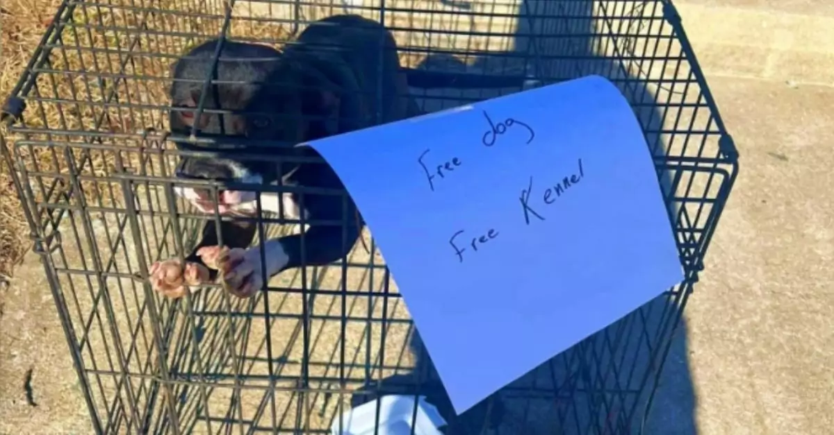 Dog Abandoned by Highway with Sign Free Dog, Free Kennel