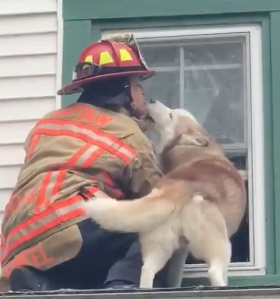 A heartfelt thank you and a reminder of the human-animal bond