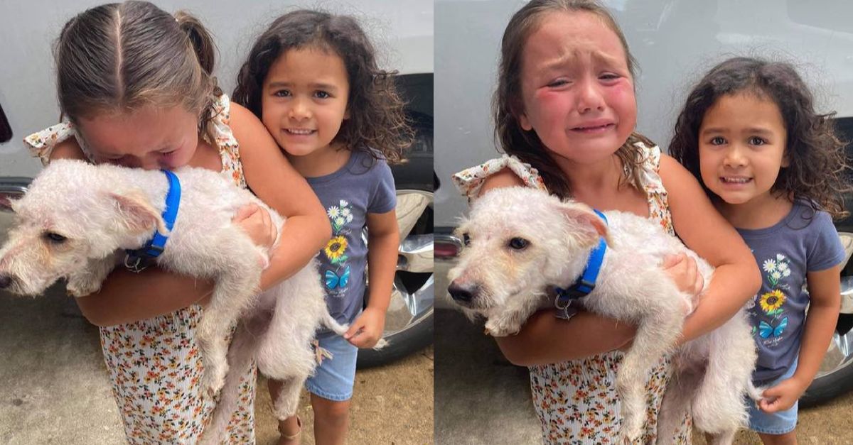 Little girl can't stop joyful tears when her lost dog is finally found