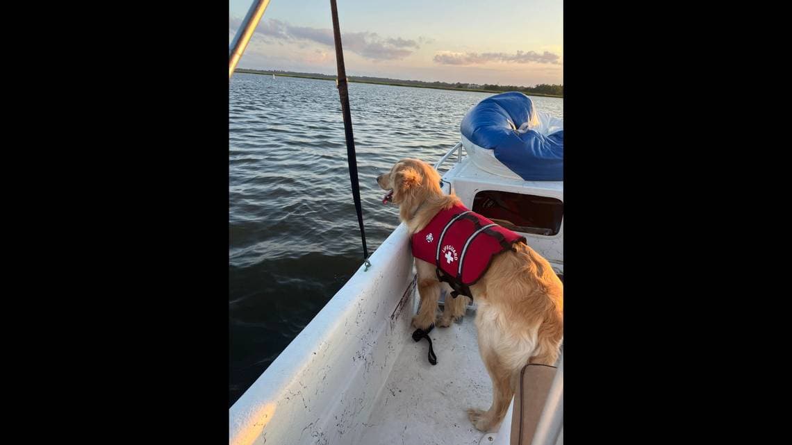 A day on the river takes a turn