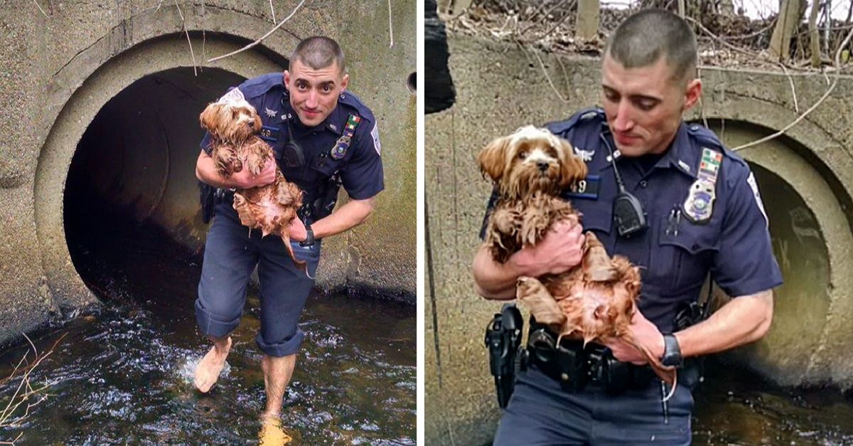 Police officer sheds footwear to save frightened dog concealed in dim tunnel