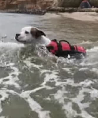 A day at the beach takes a dramatic turn