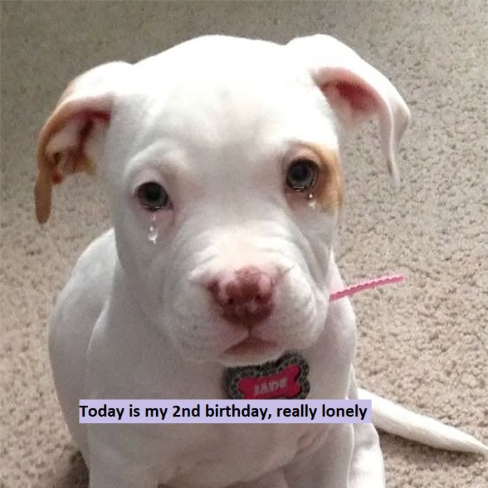 Today is my 2nd birthday