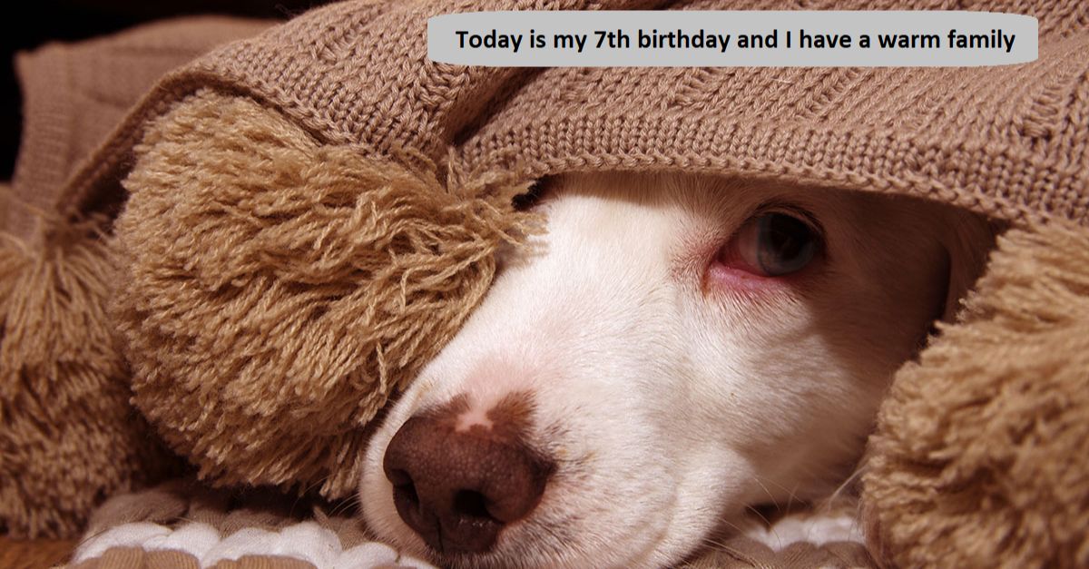 Today is my 7th birthday and I have a warm family