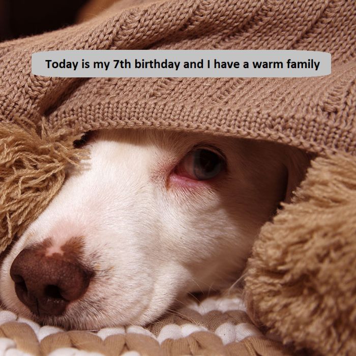 Today is my 7th birthday and I have a warm family